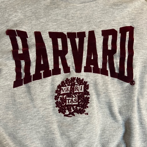 H&M Harvard University Sweatshirt Grey Size XS - Picture 3 of 4